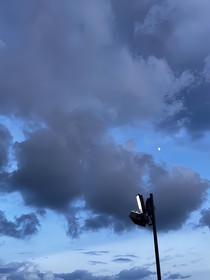 鶴俐昀端之月光與陽光