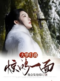 大梦归离：惊鸿一面