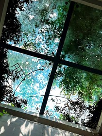 师妹竟是修仙大佬