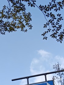 随记——日常