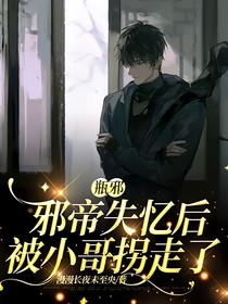 瓶邪：邪帝失忆后被小哥拐走了