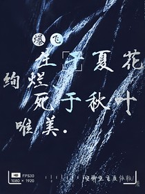 爆飞：生如夏花绚烂死于秋叶唯美……