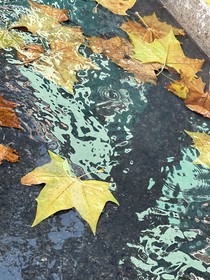 不再发光的太阳