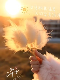 你是我的光，引領(lǐng)我走向美好的未來