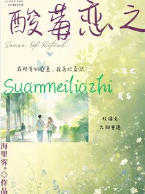 酸莓恋之