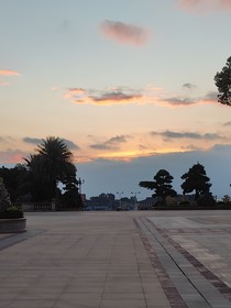 忆学……