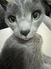 異形游戲