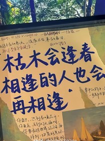 慢慢开始了