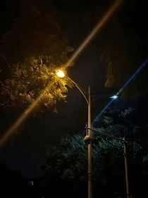 骷髅街4号