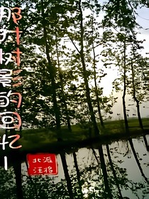 那时树影的回忆1