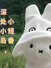 深处小岛的小破本