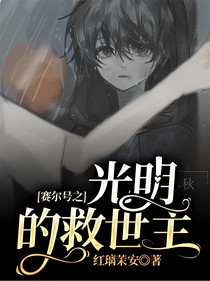 赛尔号之光明的救世主
