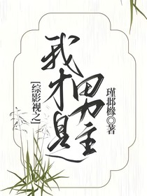 綜影視之我才是男主