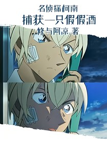 名侦探柯南：捕获一只假假酒