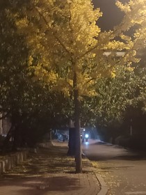 上瘾的心痕