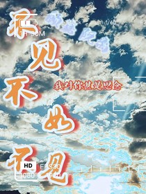 不見不如不見