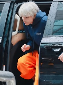 我的红狐狸夫君