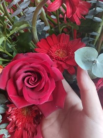 玫瑰少年的花