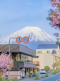 娇慕