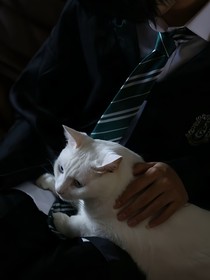 HP：现代黑魔王