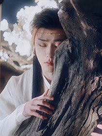 综影视：夫人她恃美行凶
