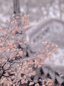 舞法天女之基真观影体