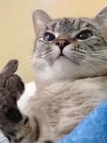 甄嬛傳不同人生