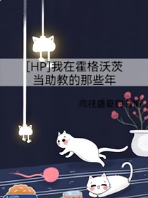 HP我在霍格沃茨当助教那些年