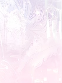 NCT：我师傅我男友（团妻向）