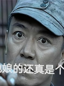 关于盗笔