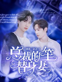 童話二分之一，總裁的雙笙替身妻