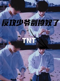 TNT：反攻少爷别撩奴了