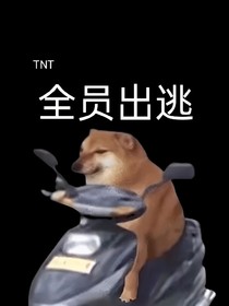 TNT：全員出逃
