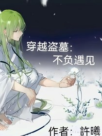 穿越盜墓：不負(fù)遇見