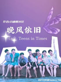 文轩翔霖：晚风依旧