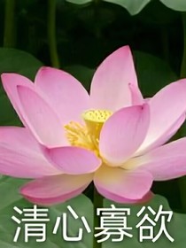 TNT：丧尸来临