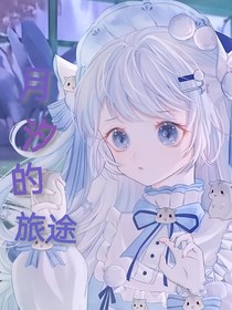 寶可夢(mèng)：月汐的旅途