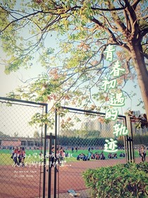 青春初遇的轨迹
