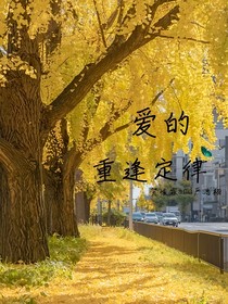 爱的重逢定律