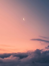 口袋里的太阳花