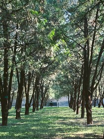 远雯：沉入海