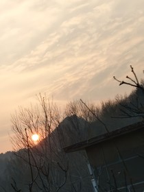 越過(guò)荊棘奔向你
