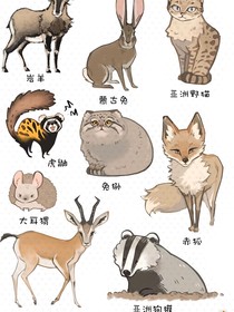 凹凸世界之鬼魂的她？