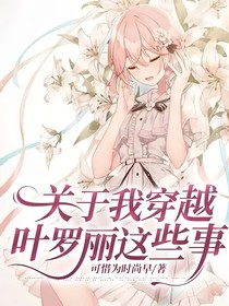 關(guān)于我穿越葉羅麗這些事