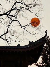 王冠之下