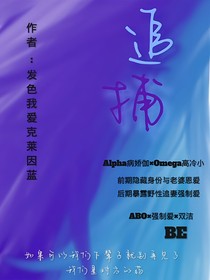 伽小之追捕
