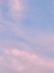 青春的回答（CYF）
