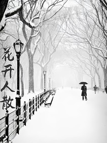 花开人散