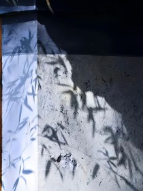 白卿相华