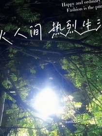 四面八方皆牢籠